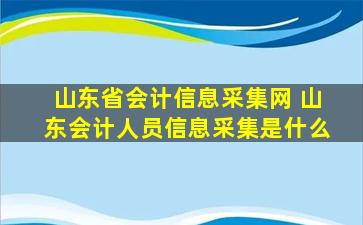 山东省会计信息采集网 山东会计人员信息采集是什么